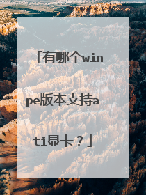 有哪个winpe版本支持ati显卡?