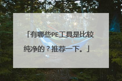 有哪些PE工具是比较纯净的?推荐一下。