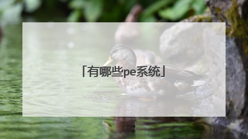 有哪些pe系统
