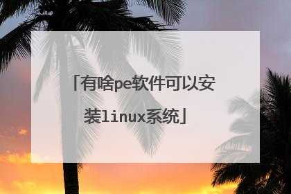有啥pe软件可以安装linux系统
