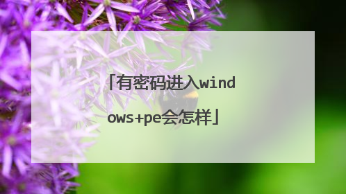 有密码进入windows+pe会怎样