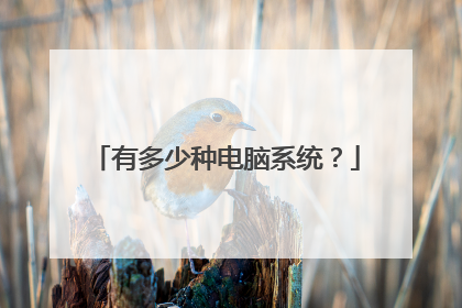 有多少种电脑系统?
