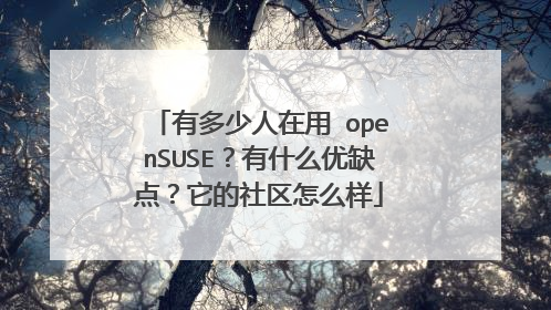 有多少人在用 openSUSE?有什么优缺点?它的社区怎么样
