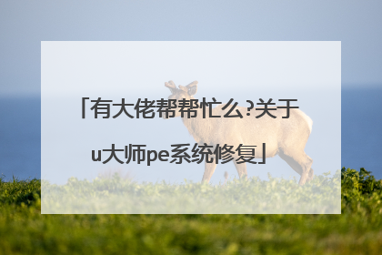 有大佬帮帮忙么?关于u大师pe系统修复