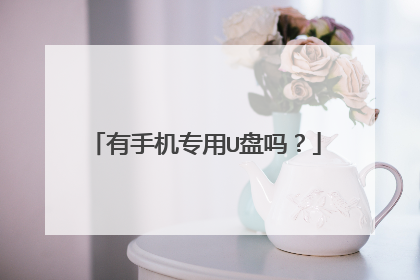 有手机专用U盘吗?