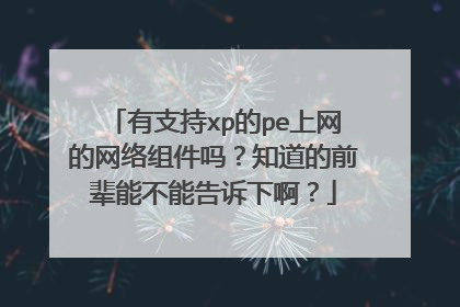 有支持xp的pe上网的网络组件吗?知道的前辈能不能告诉下啊?