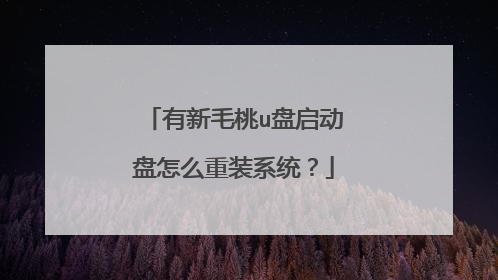 有新毛桃u盘启动盘怎么重装系统？