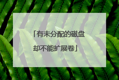 有未分配的磁盘却不能扩展卷