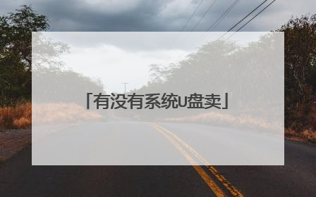 有没有系统U盘卖
