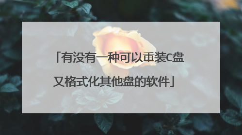 有没有一种可以重装C盘又格式化其他盘的软件