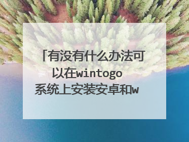 有没有什么办法可以在wintogo系统上安装安卓和win10系统呢?