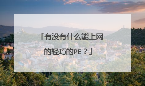 有没有什么能上网的轻巧的PE?