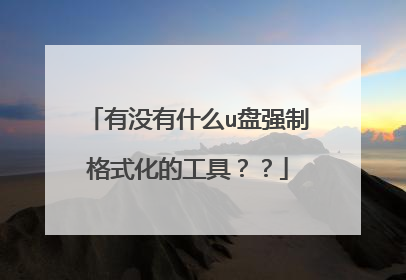 有没有什么u盘强制格式化的工具??