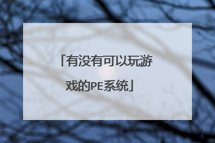 有没有可以玩游戏的PE系统