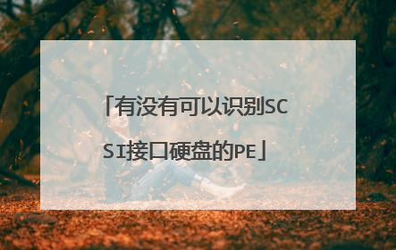有没有可以识别SCSI接口硬盘的PE