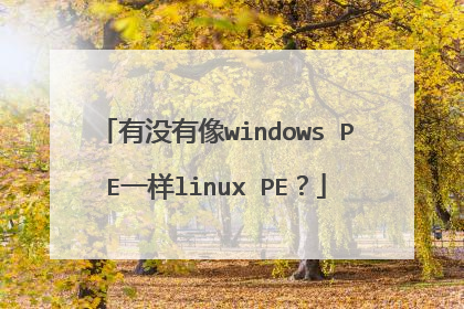 有没有像windows PE一样linux PE？