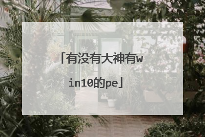 有没有大神有win10的pe