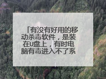 有没有好用的移动杀毒软件,是装在U盘上,有时电脑有毒进入不了系统而去PE里杀毒用的。