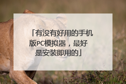 有没有好用的手机版PC模拟器,最好是安装即用的