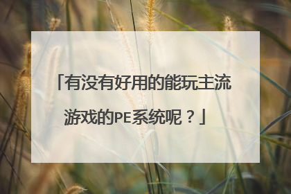 有没有好用的能玩主流游戏的PE系统呢？