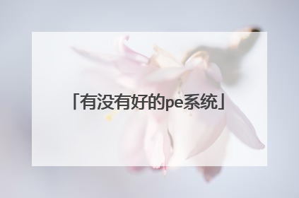 有没有好的pe系统