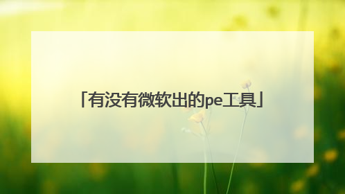 有没有微软出的pe工具