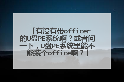有没有带officer的U盘PE系统啊？或者问一下，U盘PE系统里能不能装个office啊？