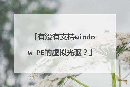 有没有支持window PE的虚拟光驱?