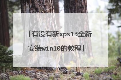 有没有新xps13全新安装win10的教程