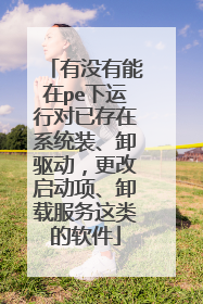 有没有能在pe下运行对已存在系统装、卸驱动,更改启动项、卸载服务这类的软件
