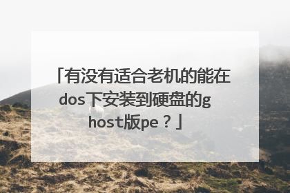 有没有适合老机的能在dos下安装到硬盘的ghost版pe?