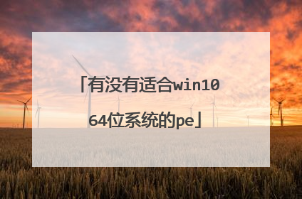 有没有适合win10 64位系统的pe