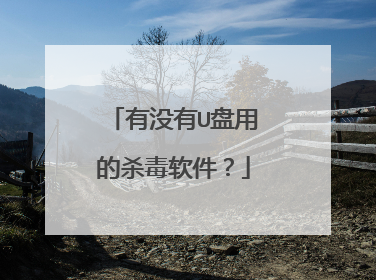 有没有U盘用的杀毒软件？