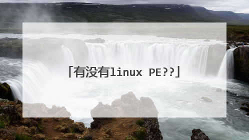 有没有linux PE??