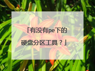 有没有pe下的硬盘分区工具？