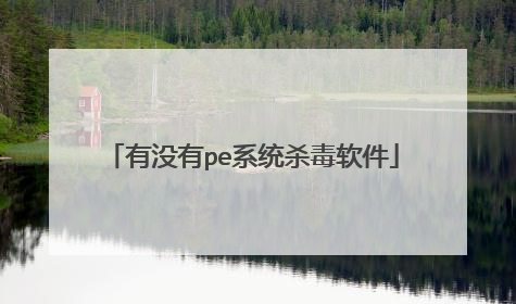 有没有pe系统杀毒软件