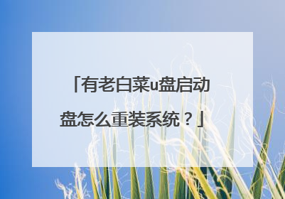 有老白菜u盘启动盘怎么重装系统？