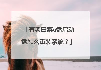 有老白菜u盘启动盘怎么重装系统？