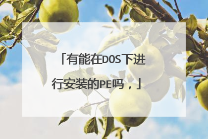 有能在DOS下进行安装的PE吗,