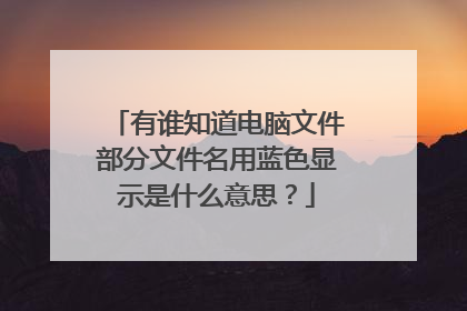 有谁知道电脑文件部分文件名用蓝色显示是什么意思?