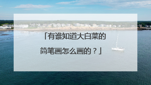 有谁知道大白菜的简笔画怎么画的?