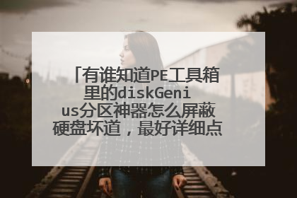 有谁知道PE工具箱里的diskGenius分区神器怎么屏蔽硬盘坏道,最好详细点儿,有图解更好!