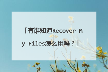 有谁知道Recover My Files怎么用吗?