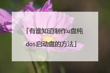 有谁知道制作u盘纯dos启动盘的方法