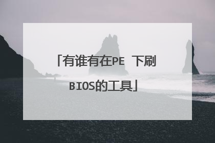 有谁有在PE 下刷 BIOS的工具