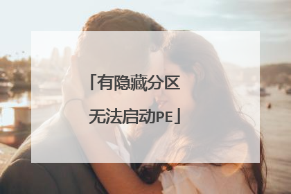 有隐藏分区 无法启动PE