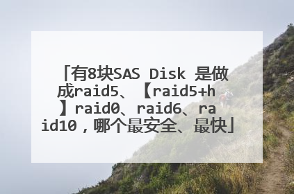 有8块SAS Disk 是做成raid5、【raid5+h】raid0、raid6、raid10,哪个最安全、最快