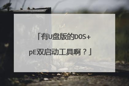 有U盘版的DOS+pE双启动工具啊?