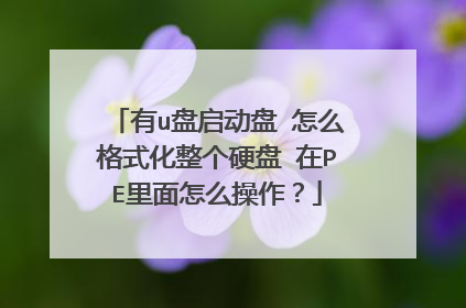 有u盘启动盘 怎么格式化整个硬盘 在PE里面怎么操作？