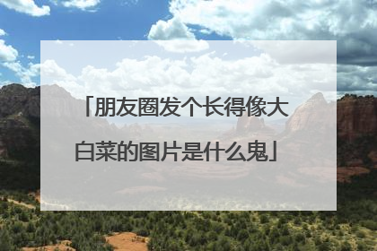 朋友圈发个长得像大白菜的图片是什么鬼